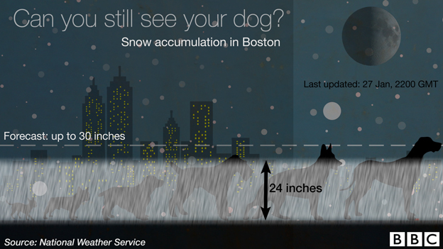 US Blizzard by dog size