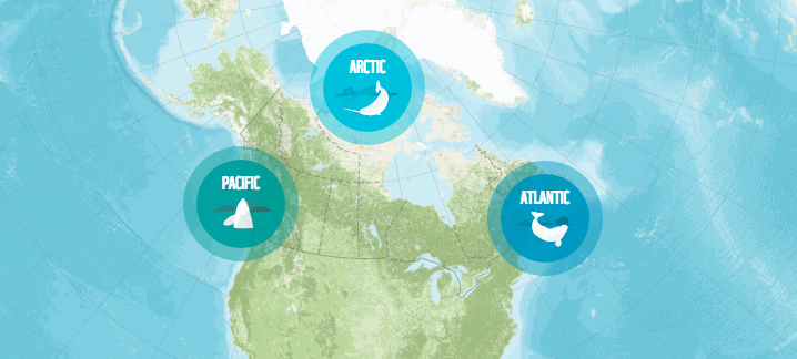 Canada oceans WWF
