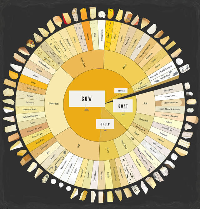 charted cheese wheel