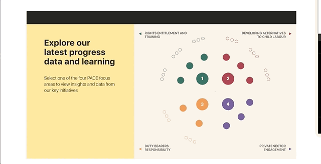 TRF PACE Dashboard