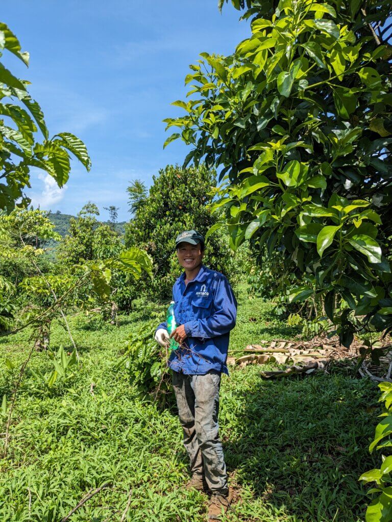 Organic-Coffee-Farming-Dak-Lak-Vietnam